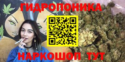 таблы Кингисепп