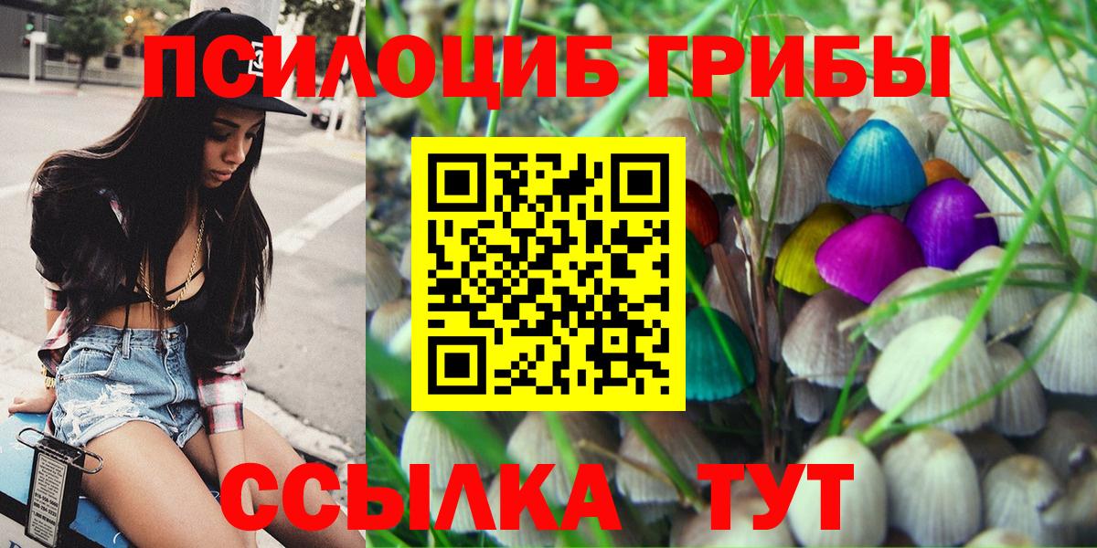 Галлюциногенные грибы MAGIC MUSHROOMS Чайковский